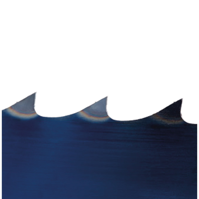 Pilový pás 5611 x 10 x 0.6 mm 4 TPI 1
