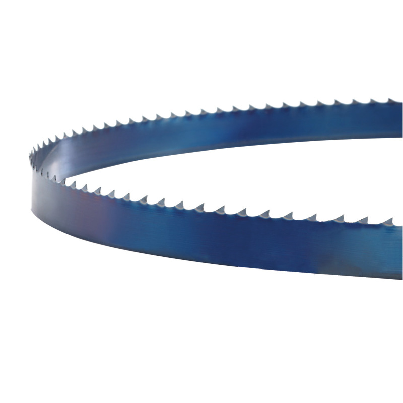 Pilový pás 5610 x 50 x 1.0 mm T 22mm